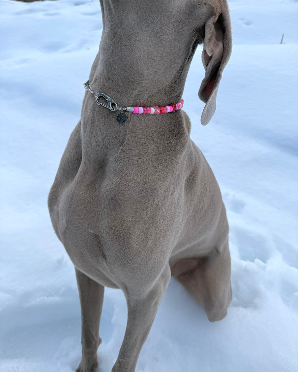 BEVERLY