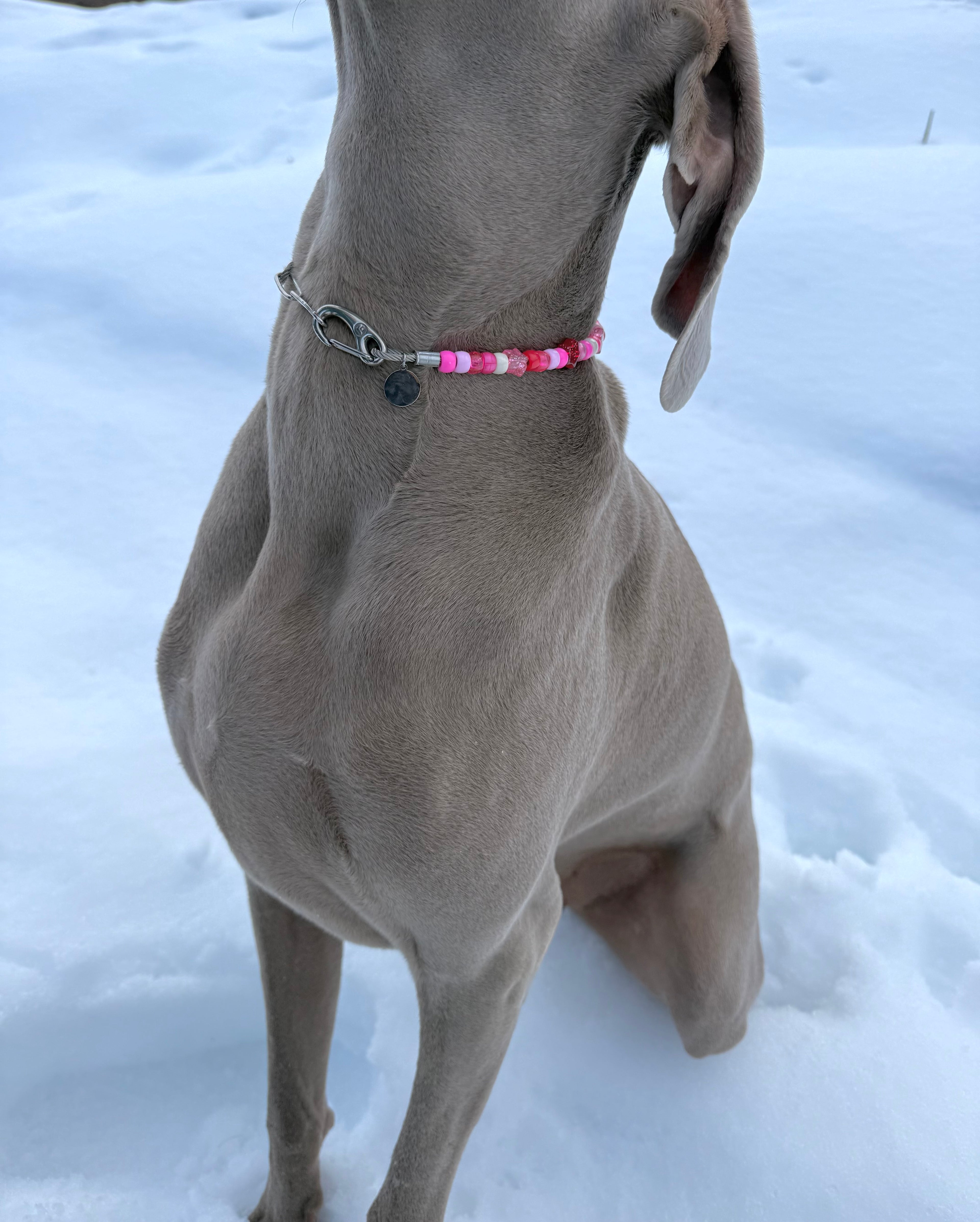 BEVERLY