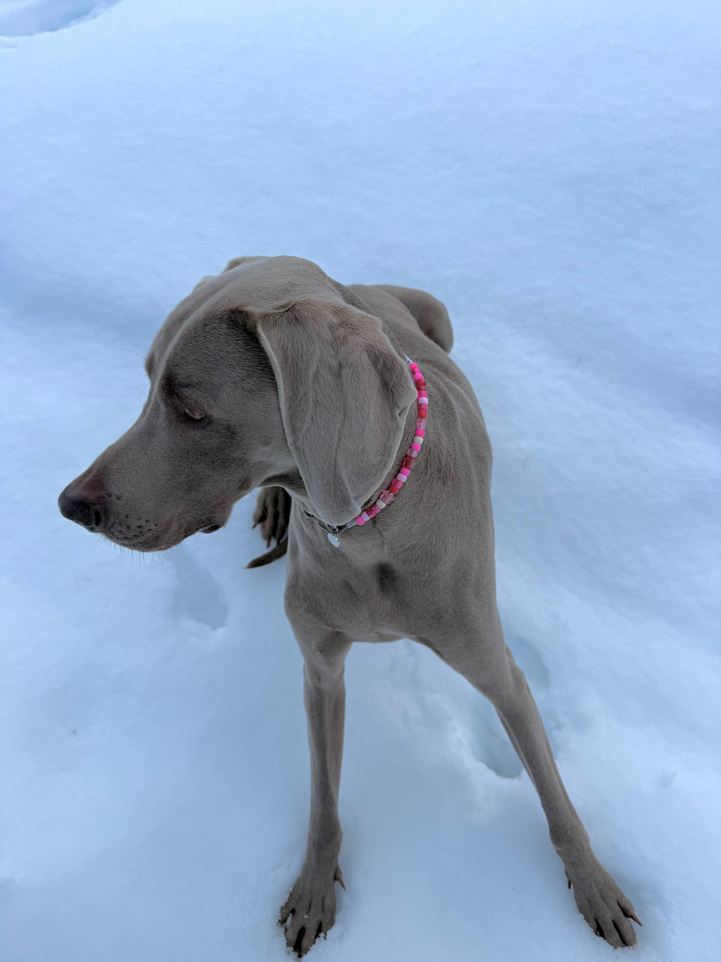 BEVERLY